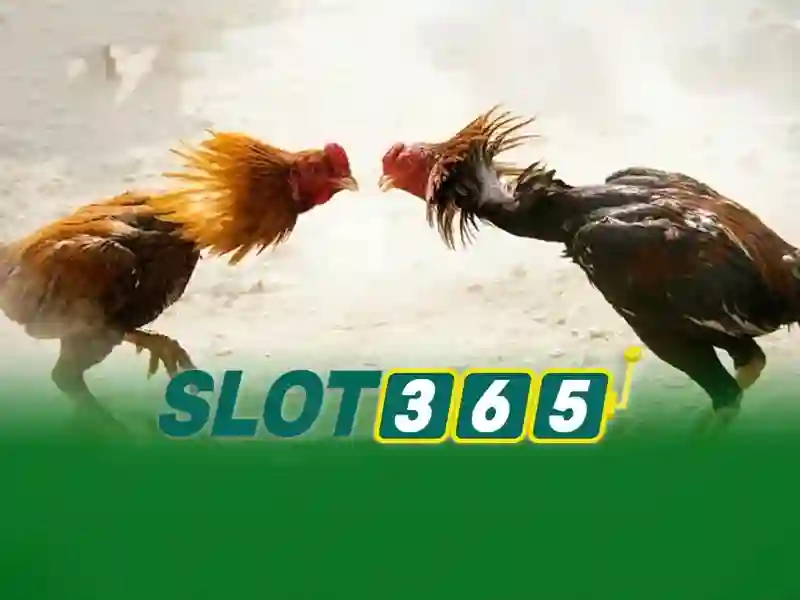 slot365 ap – Tổng quan chủ đề và giá trị cốt lõi