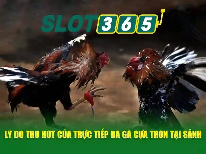 Nguồn gốc và sứ mệnh của slot365 apk