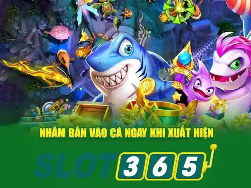 Tong quan chinh sach bao mat Slot365 an toan