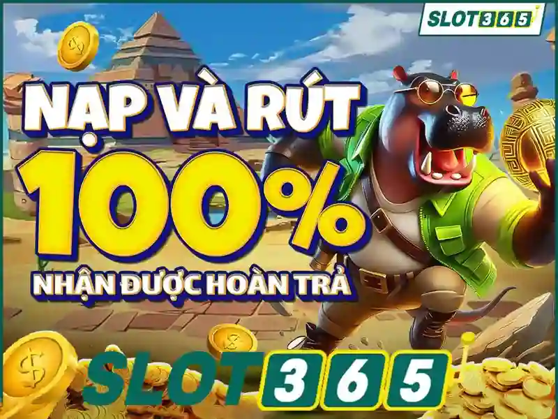 slot365 poker – Tổng quan chủ đề và giá trị cốt lõi