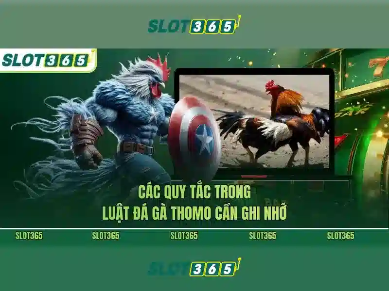 Tổng quan Slot365 app