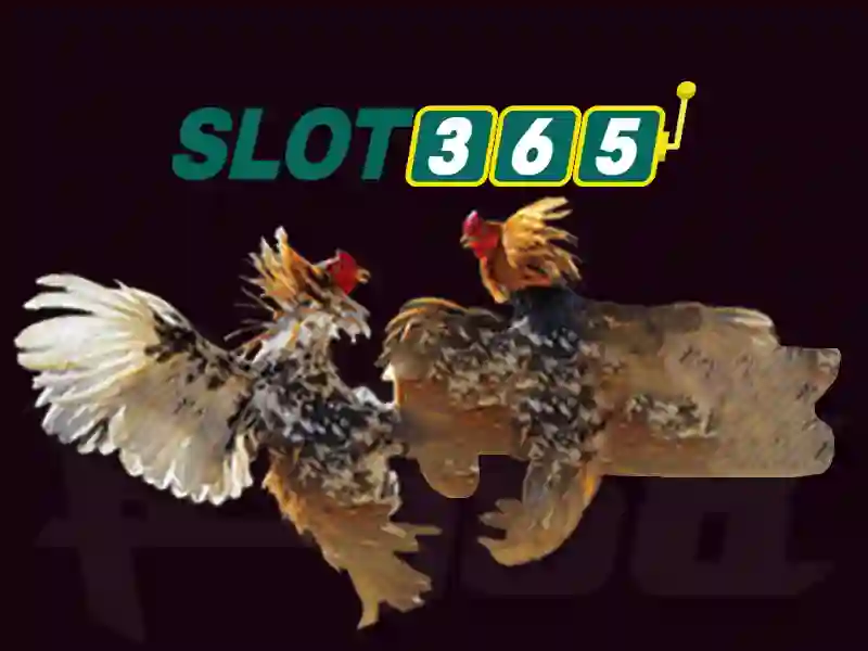 Hệ thống bảo mật và thanh toán đa dạng tại Slot365