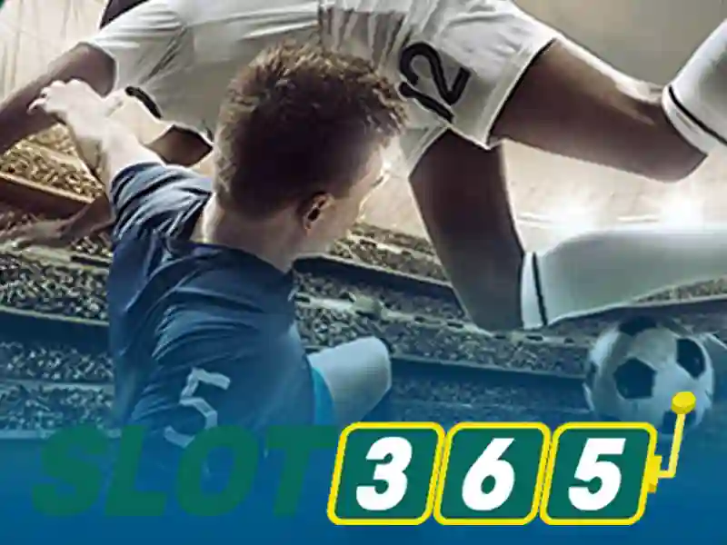 6. Phát triển tương lai và tầm nhìn