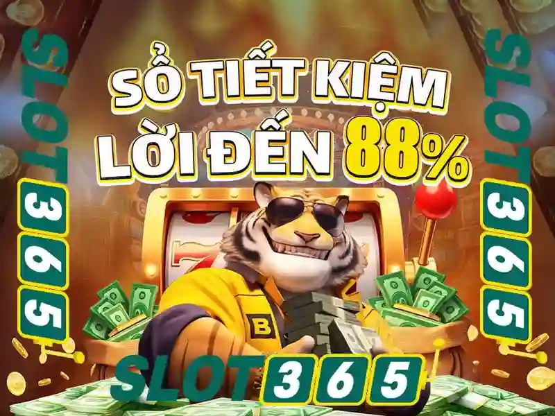slot365 apk – Trải nghiệm người dùng và phản hồi