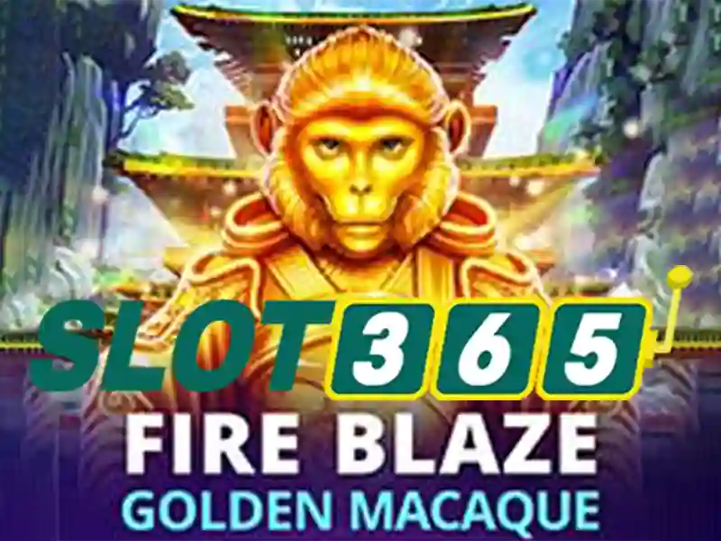 Chinh sach khuyen mai va tien thuong tai slot365